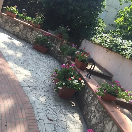 Doriana *